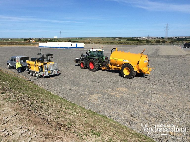 Stone Removal Services